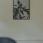 Jewel In The Center Of Thun's Old Town Appartement *